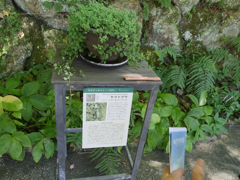 D1000459.JPG